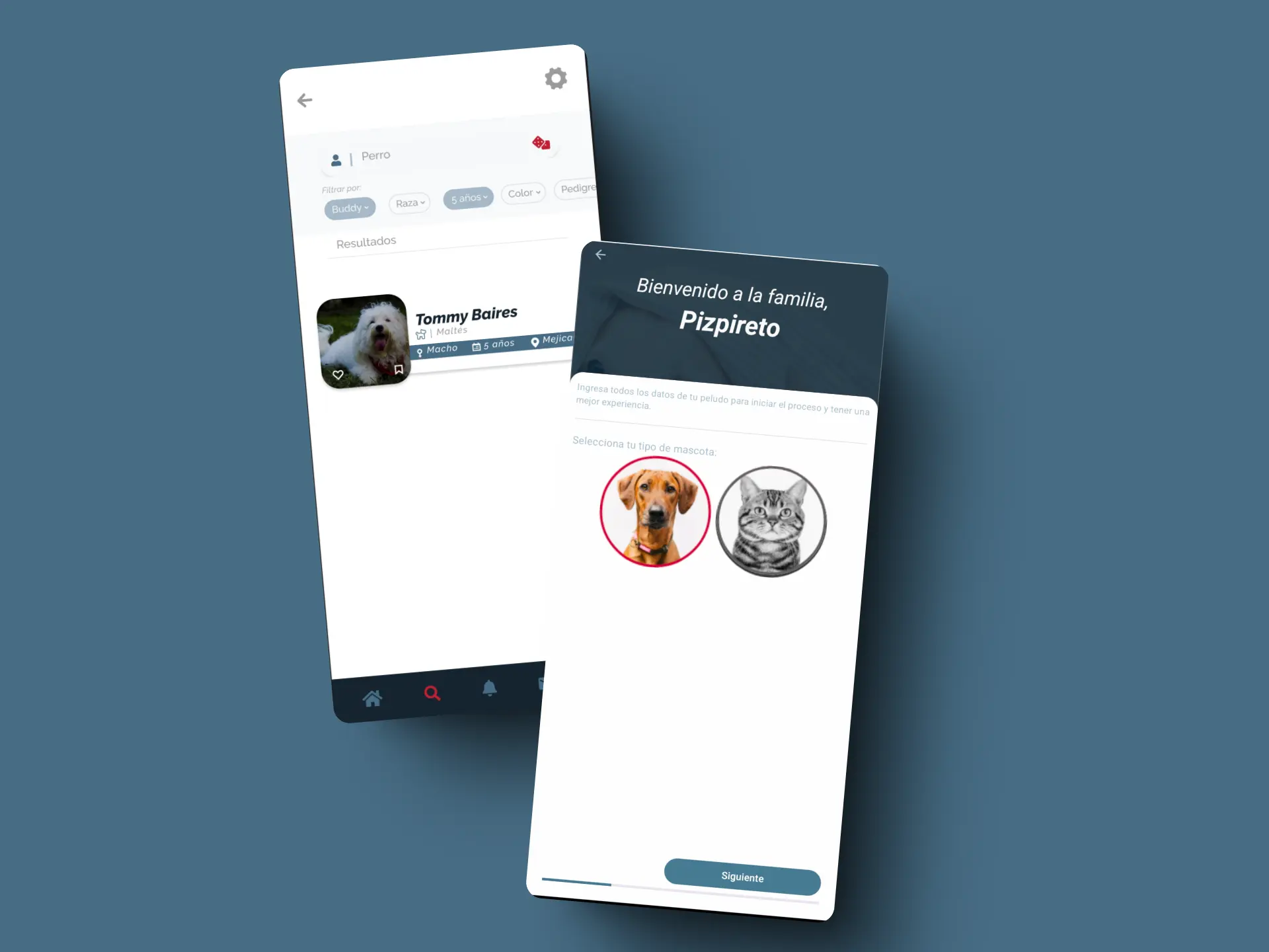 Pizpiretos project screenshot